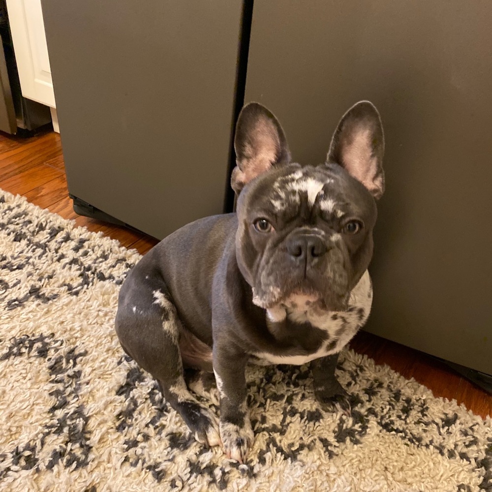 Meet your Posher, Ryan